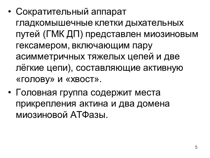 5 Сократительный аппарат гладкомышечные клетки дыхательных путей (ГМК ДП) представлен миозиновым гексамером, включающим пару